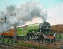 14 flying scotsman 23